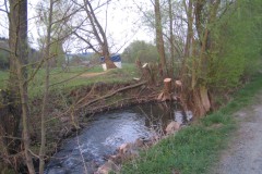 Amoenau_Dorf_Rundgang_12_04_09_20090412_0082