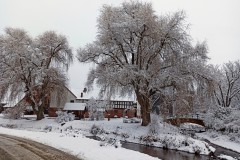 IMG_20211225_1511312